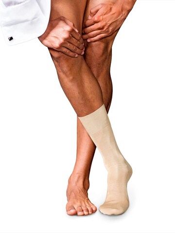 FALKE Socks 'No. 9 Pure Fil d´Écosse' in Beige: front