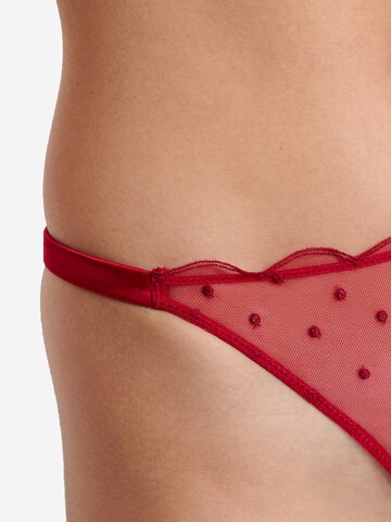 ETAM Thong in Red