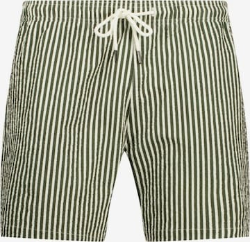 Regular Pantalon Deeluxe en vert : devant