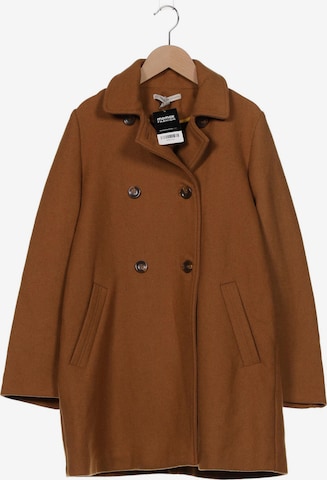 Trafaluc Jacket & Coat in XS in Brown: front