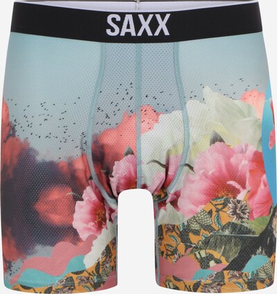 SAXX Boxershorts 'VOLT' in hellblau / braun / rosa / weiß, Produktansicht