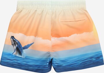 Shorts de bain 'Niko' Molo en bleu