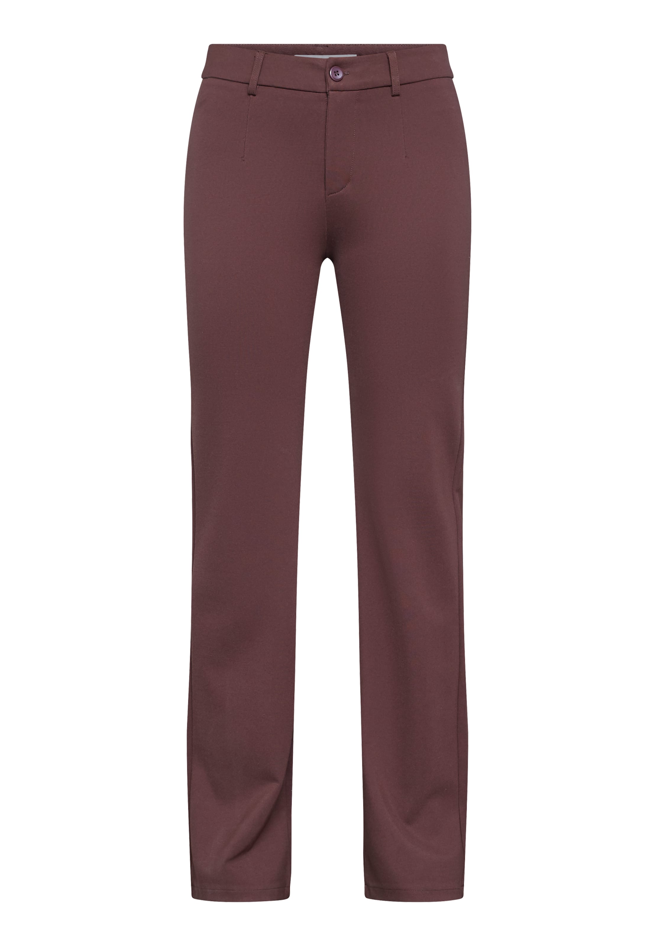 Regular Pantaloni 'NEW GEORGE-7' de la SISTERS POINT pe maro: față