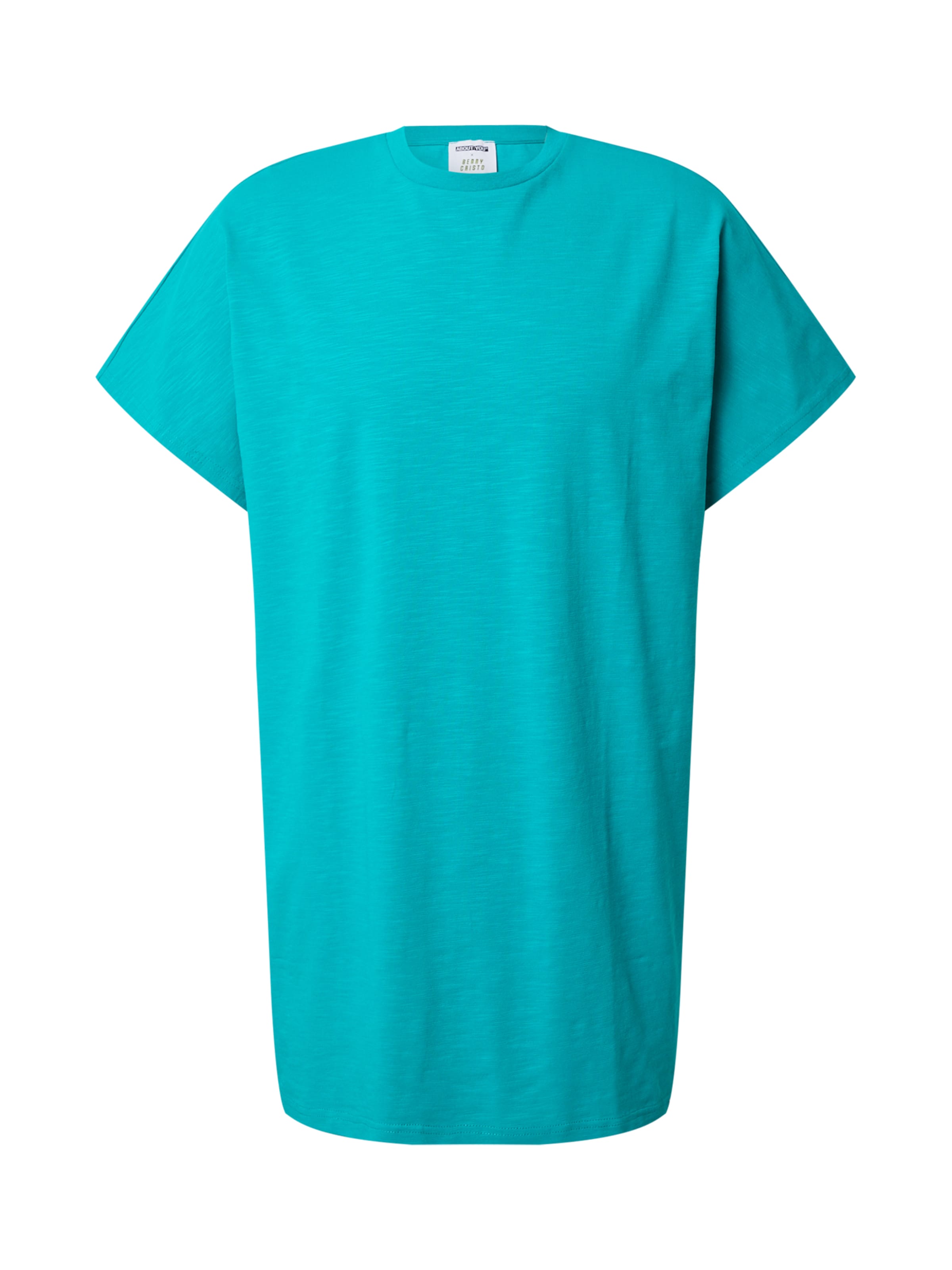 ABOUT YOU x Benny Cristo Bluser & t-shirts 'Jake' i grøn: forside