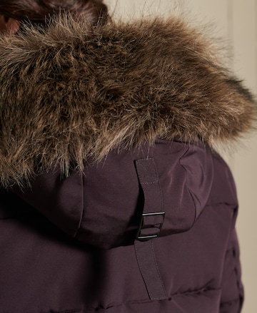 Superdry Winter Jacket 'Everest' in Purple