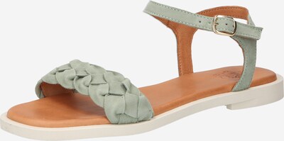 Apple of Eden Remienkové sandále 'Alma' - olivová, Produkt
