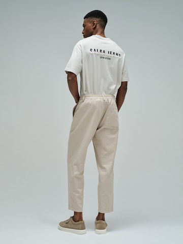 Regular Pantalon chino Salsa Jeans en beige