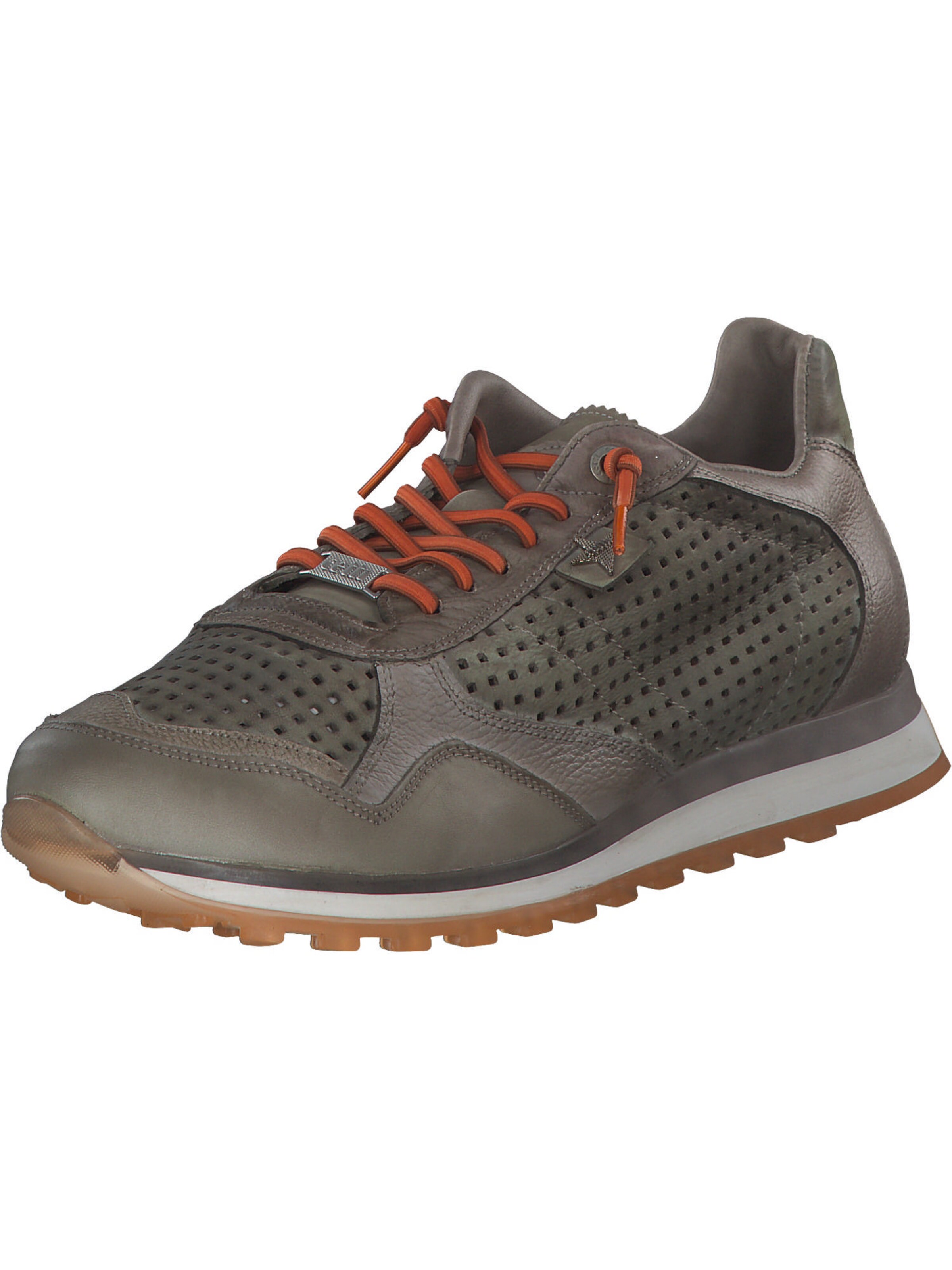 Cetti Sneakers C848 S M in Muddy Colored ABOUT YOU