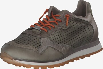 Cetti Sneakers 'C848 S M' in Grey: front