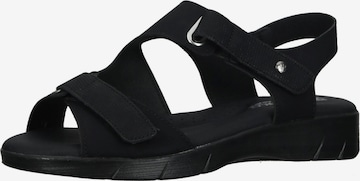 Arcopedico Sandalen met riem in Zwart: voorkant