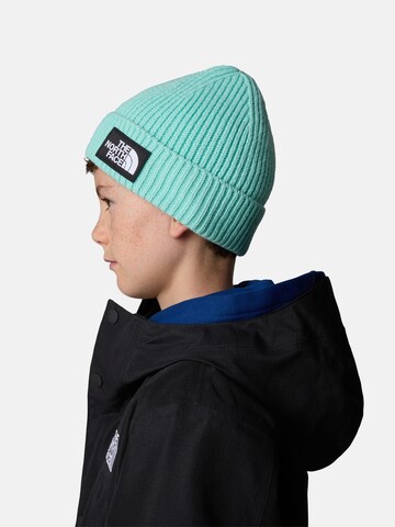 Berretto di THE NORTH FACE in blu