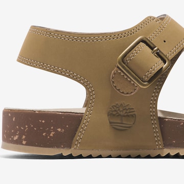 TIMBERLAND Sandals in Beige