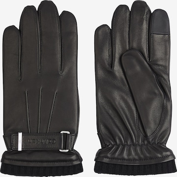 Calvin Klein Full Finger Gloves in Black: front