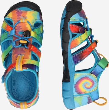 KEEN Sandals 'SEACAMP II' in Mixed colors