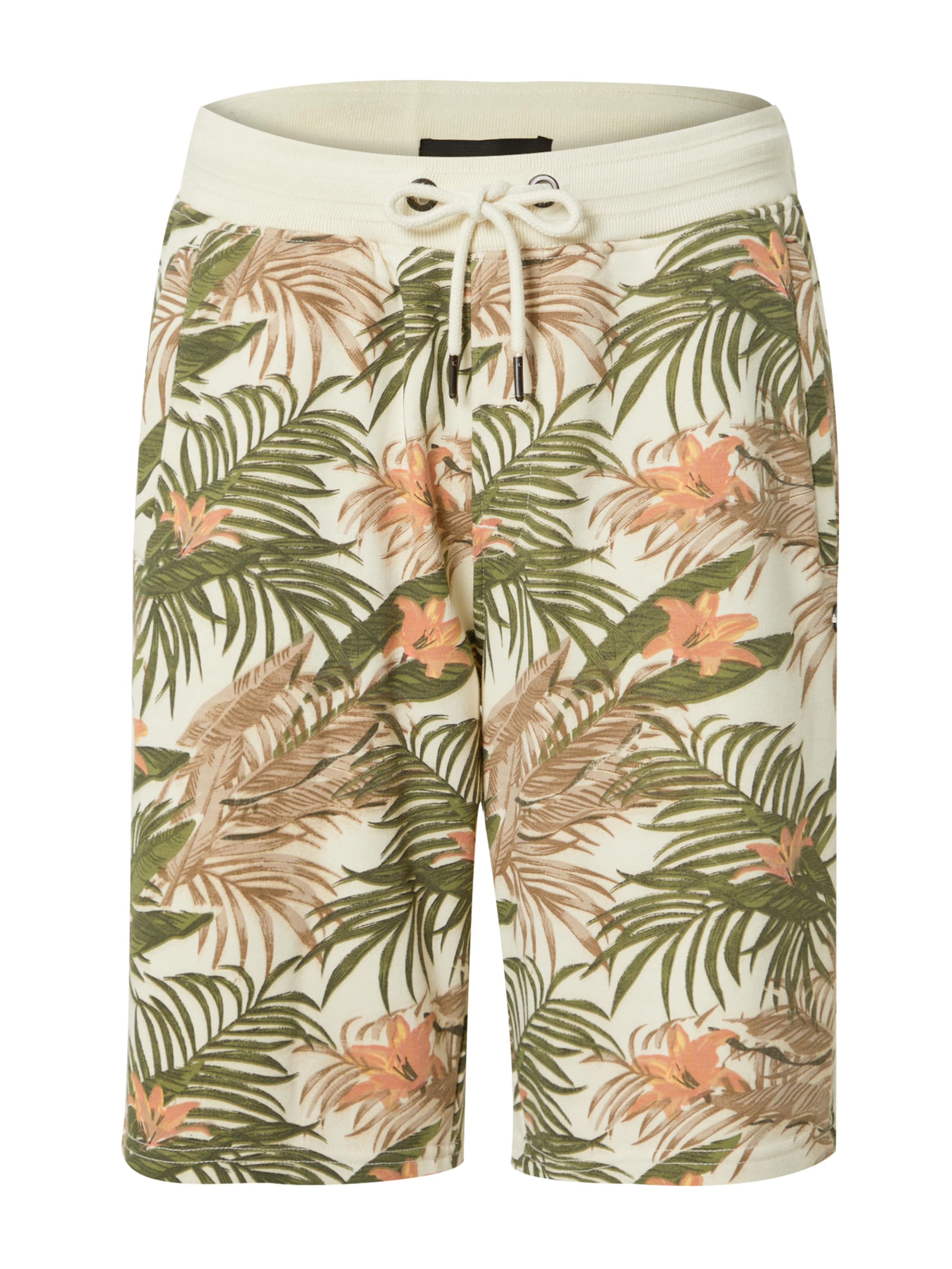 Pantaloni di BLEND in beige: frontale