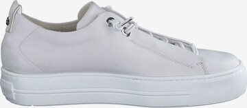 Sneaker bassa di Paul Green in bianco