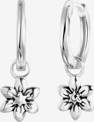 Boucles d'oreilles Lucardi en argent : devant