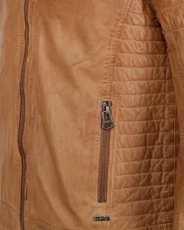 Veste mi-saison 'William' Maze en marron