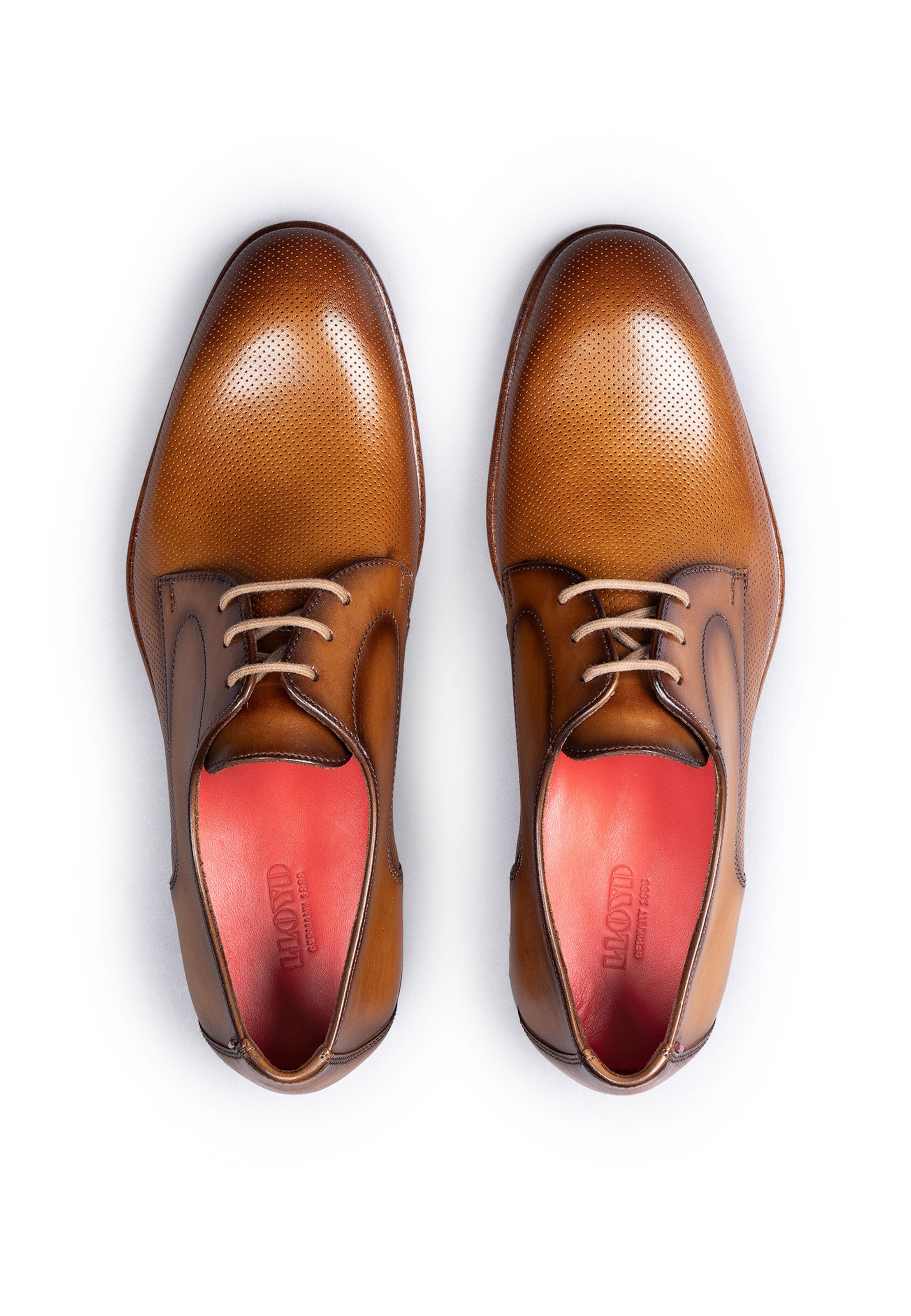 LLOYD Schnürschuh 'RAPPORT' in Braun