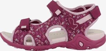 GEOX Open schoenen 'Whinberry' in Roze