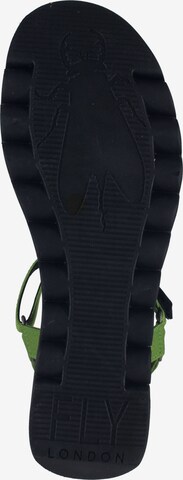 FLY LONDON Strap Sandals in Green