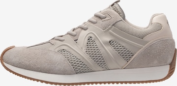 Baskets basses 'Velluto Misto Leone' JOOP! en gris : devant