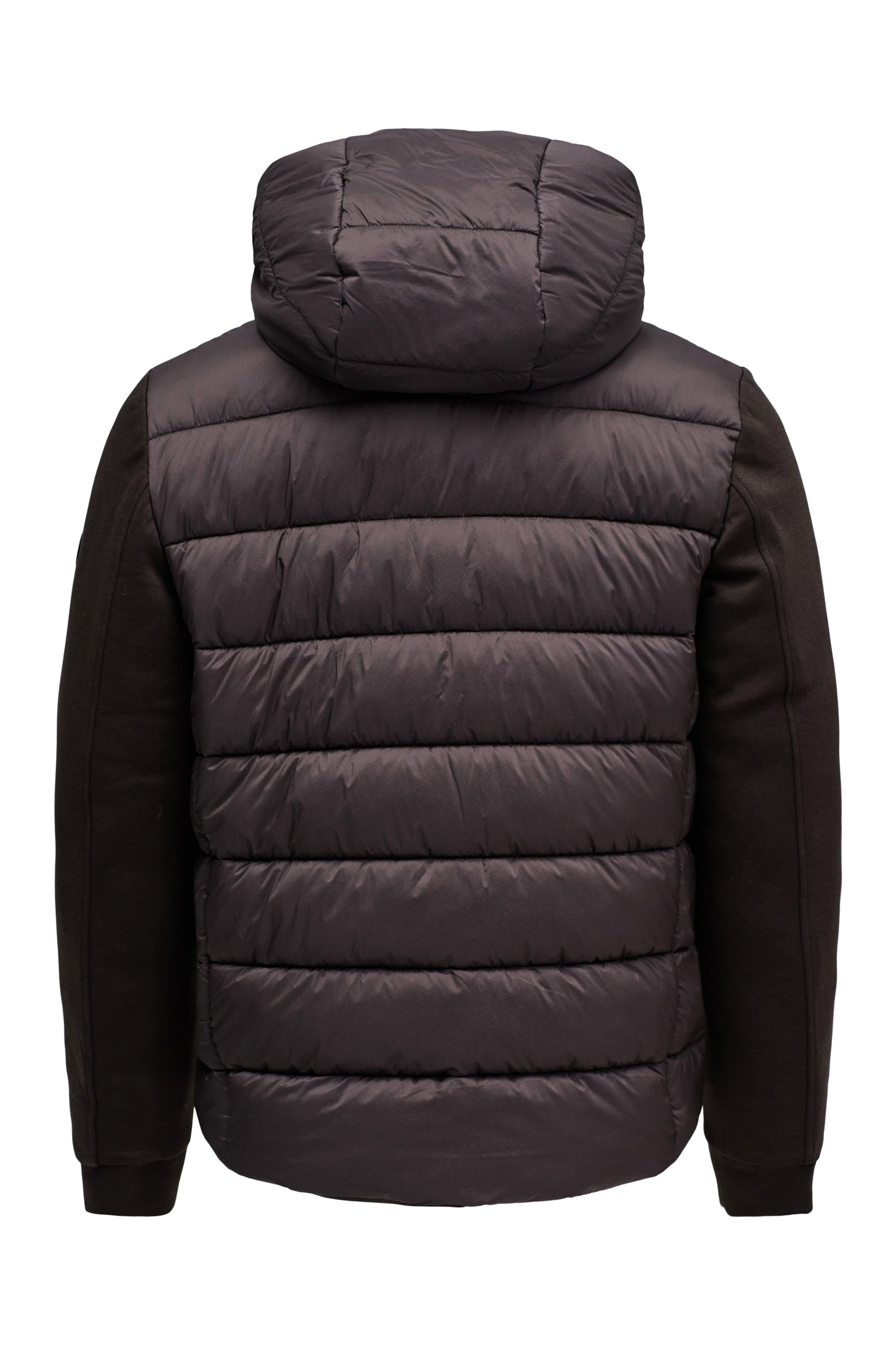 Salsa Jeans Winterjas in Bruin