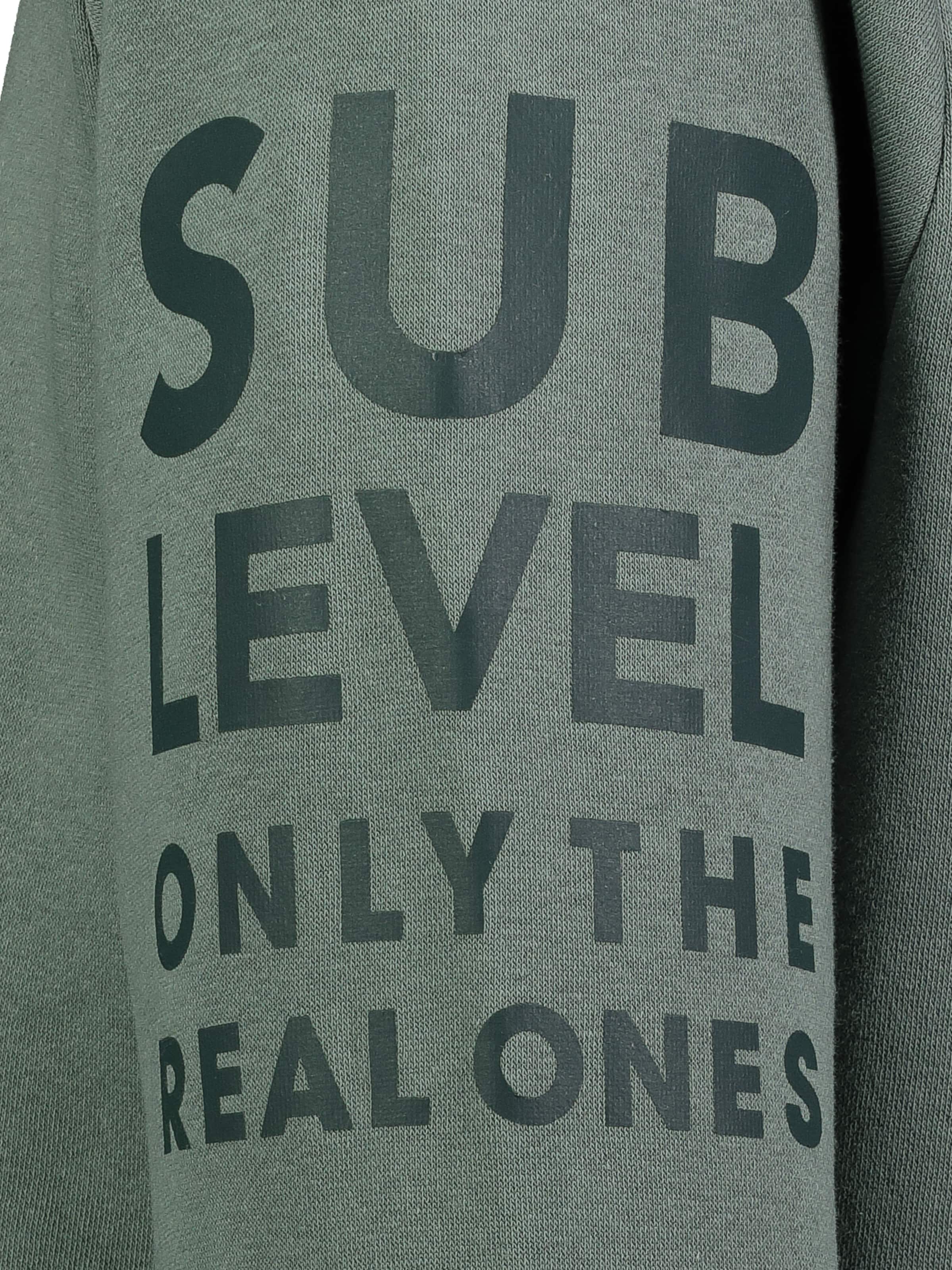 Sublevel Sweatshirt in Grün