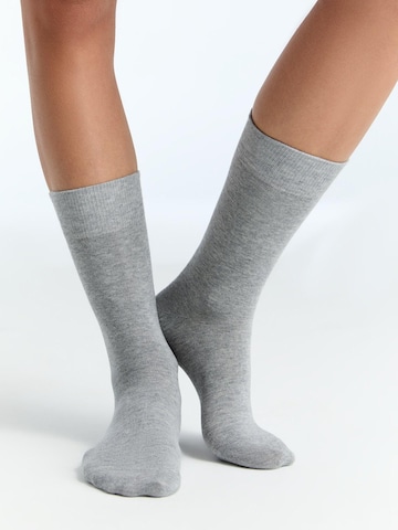 Albero Natur Socks 'Bio-Baumwoll-Socken mit längerem Bündchen - 2er Pack' in Grey