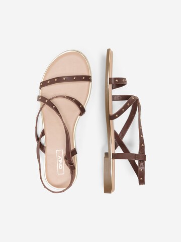 ONLY - Sandalias con hebilla 'ONLMARI-4' en marrón