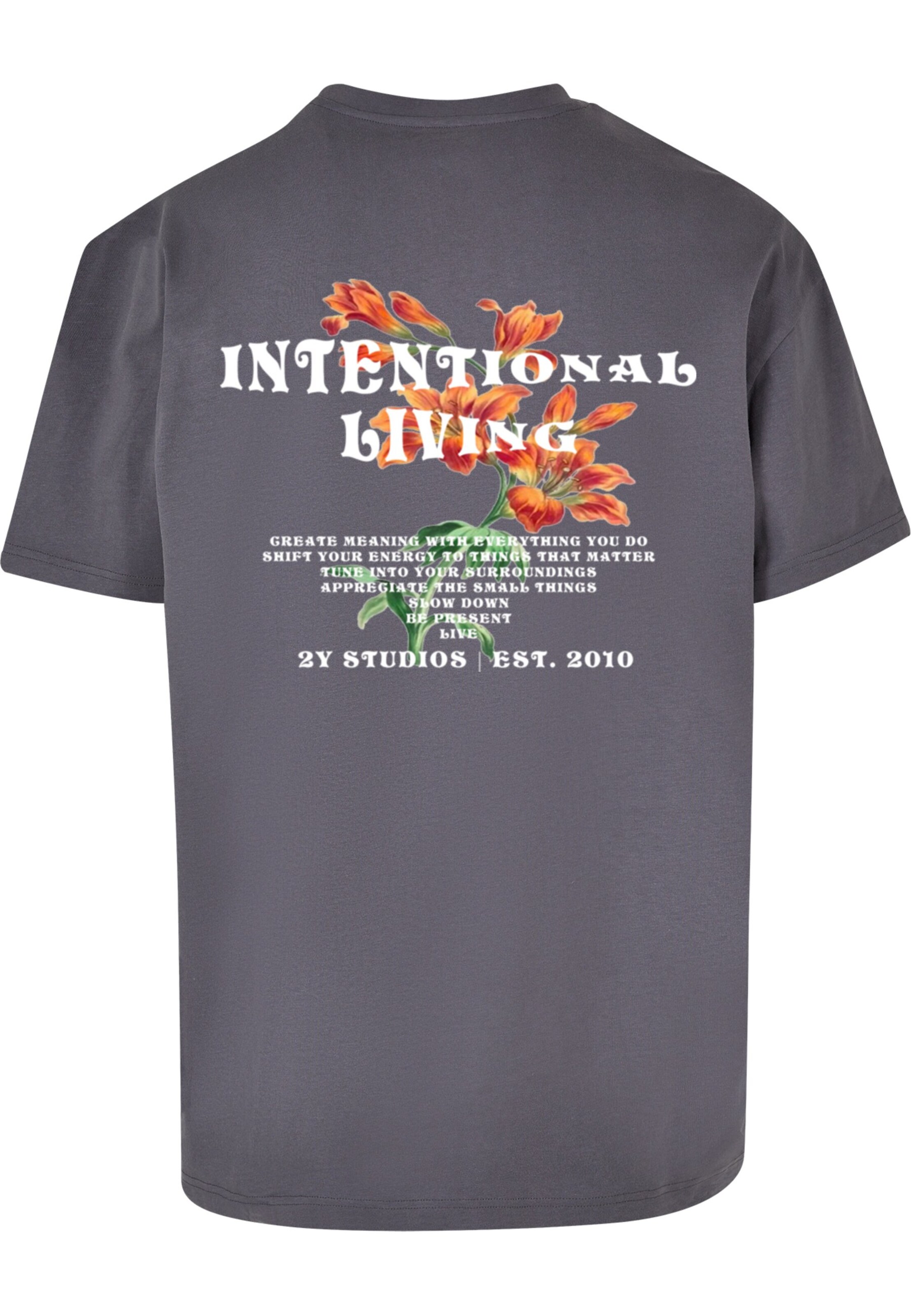 2Y Premium T-Shirt 'Lilia' in Grau