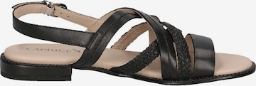 CAPRICE Strap Sandals in Black