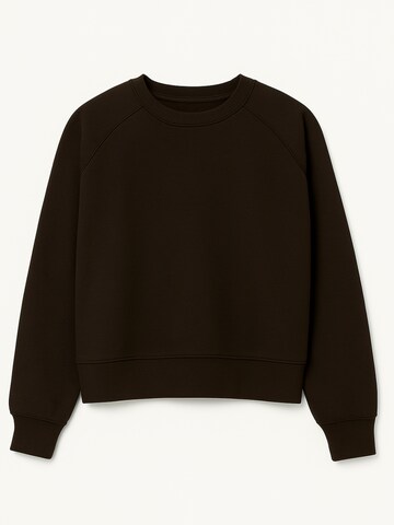 Sweat-shirt Eoselio en marron : devant