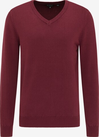 RAIDO Sweater in Red: front