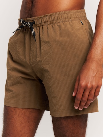 PROTEST Swimming shorts 'PRTAgden' in Brown