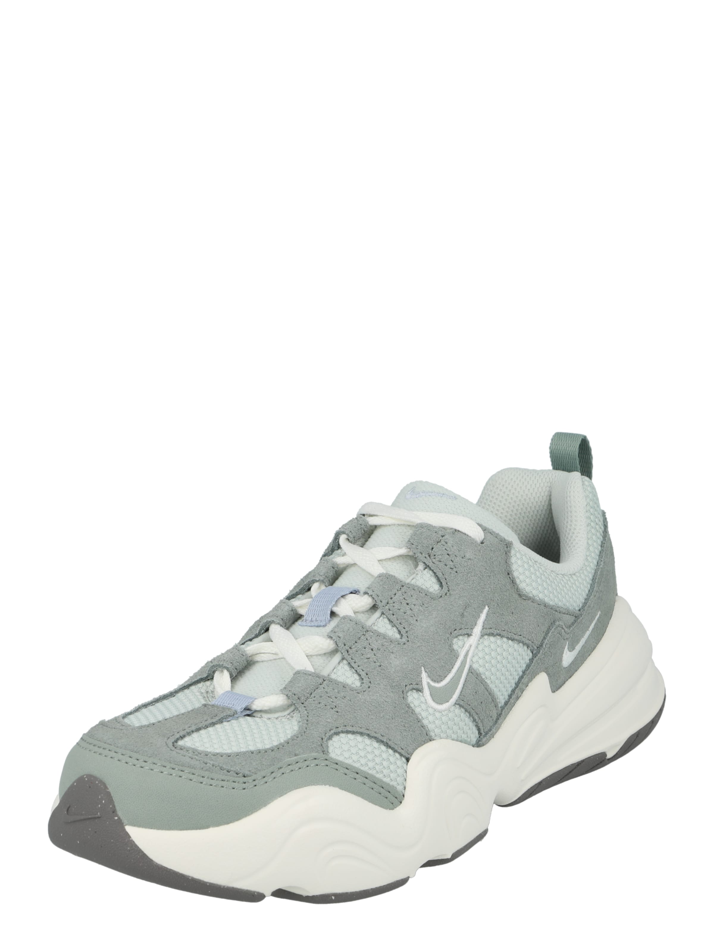 Nike Sportswear Sneakers 'TECH HERA' in Silver: front