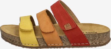 JOSEF SEIBEL Mules in Mixed colors: front