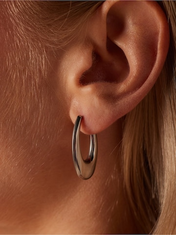 Lucardi Earrings in Silver: front