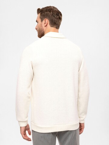 Antioch Pullover in Beige