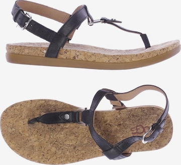 UGG Sandalen 37 in Schwarz: predná strana