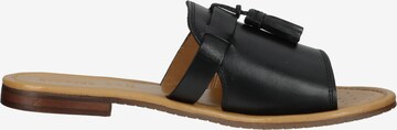 GEOX Mules in Black