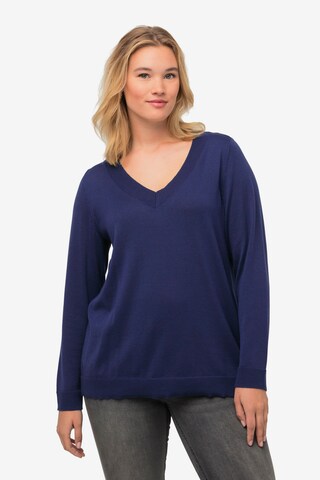 Ulla Popken Pullover in Blau: predná strana