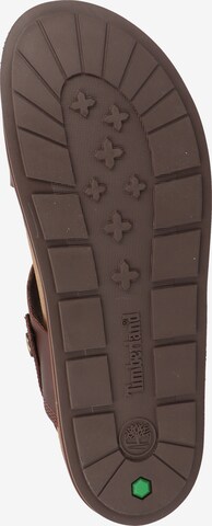 TIMBERLAND Sandals in Brown