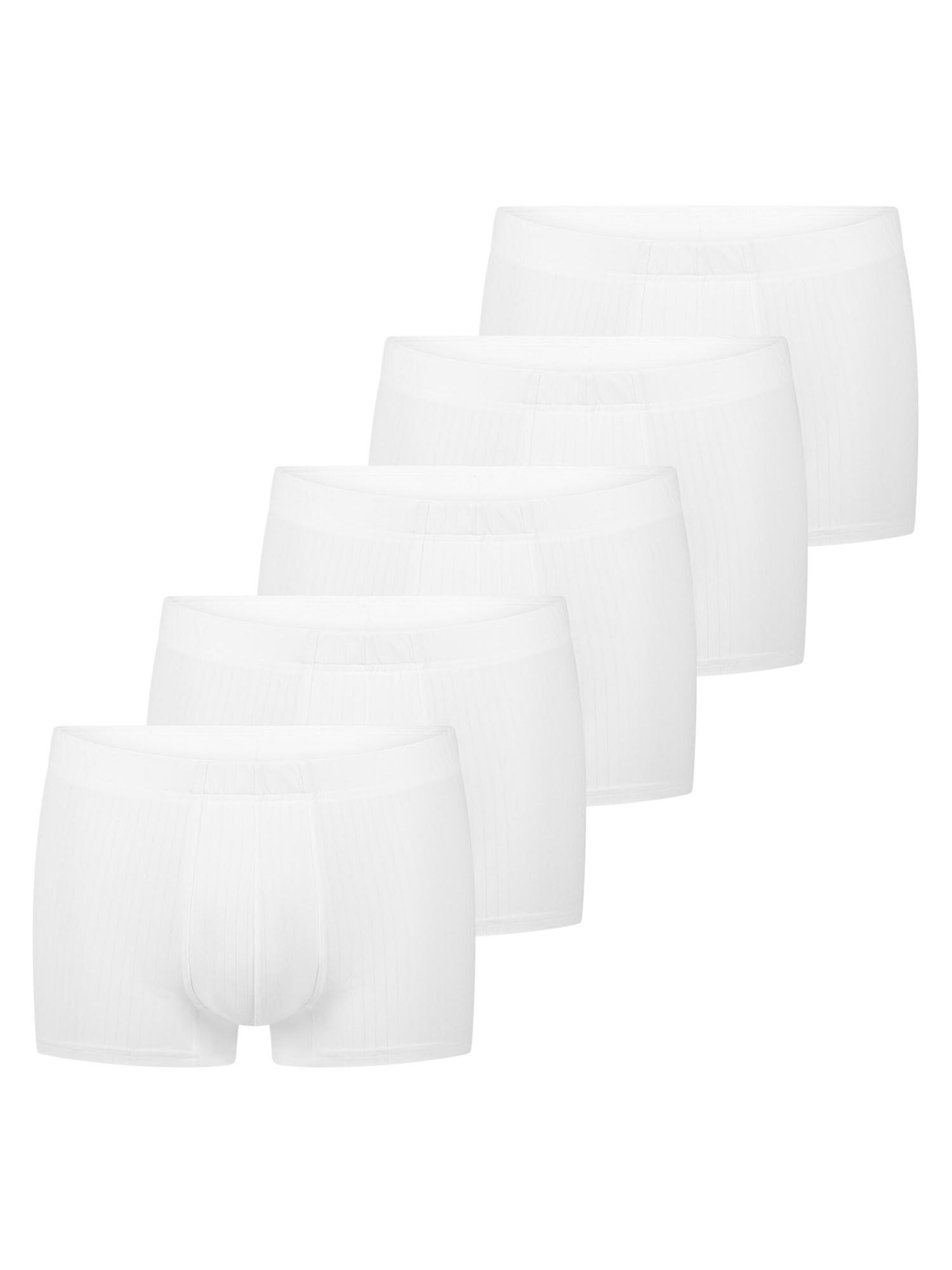 SPEIDEL Boxer shorts 'Sky.line' in White: front