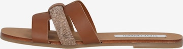 STEVE MADDEN Pantoletten 'Edriah SM11002559' in Braun: Vorderseite
