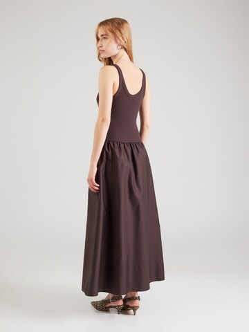 Robe & Other Stories en marron