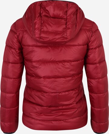 Champion Authentic Athletic Apparel Winter Jacket 'Legasy' in Red