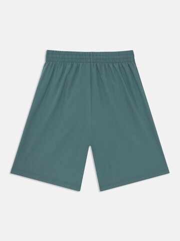 Regular Pantaloni sport de la NIKE pe albastru