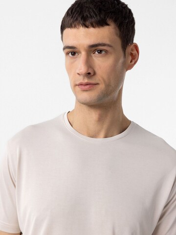 T-Shirt 'Albert' Antioch en gris