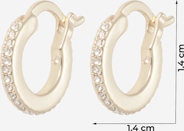 COACH Earrings 'Huggie' in Gold